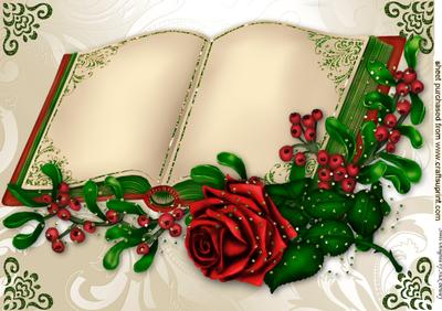 Beautiful Red Rose with Holly & Berries on a Pretty Book A4