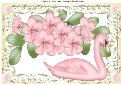 Pink Swan, Pink Flowers with Butterflies A4