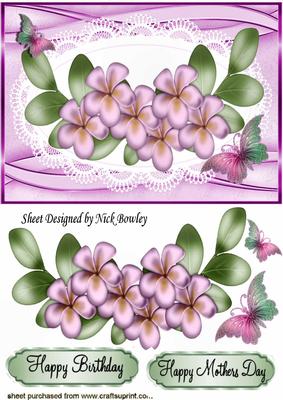 Pretty Pink Flowers and Butterflies on Lace