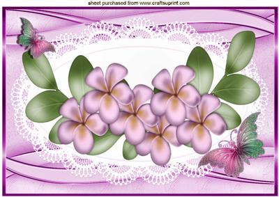 Pretty Pink Flowers and Butterflies on Lace A4