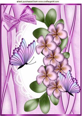 Pink Flowers and Butterflies on Lace with Bow A4