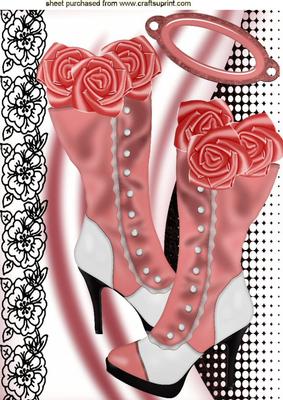 Steampunk & Black Lace with Vintage Boots with Roses A4