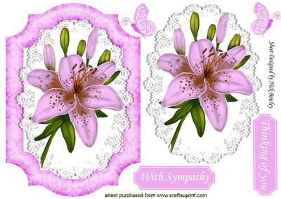Pink Lily on Lace with Butterflies