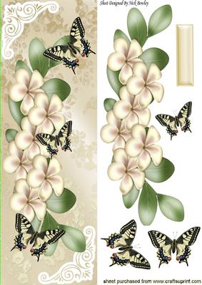 Pretty Cream Flowers and Butterflies Tall Dl