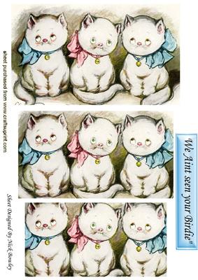 We Aint Seen Your Birdie! Cheeky Kitten Pyramids