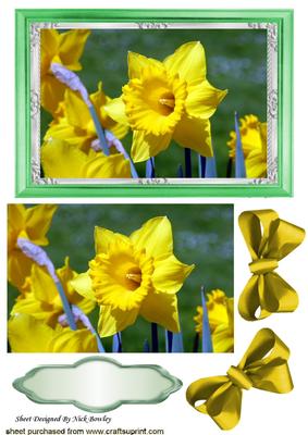 Daffodil in Frame with Bows and Topper