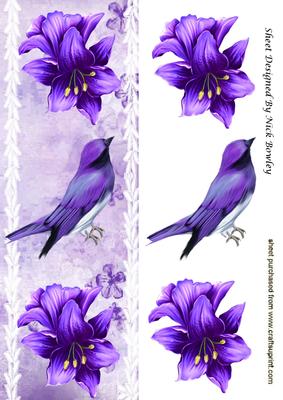 Tropical Purple Flowers, with Purple Bird and Lace Tall Dl
