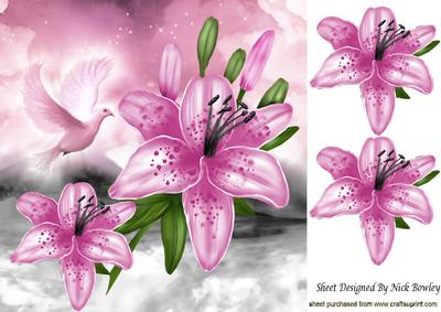 Pink Lillies and Pink Dove 8x8