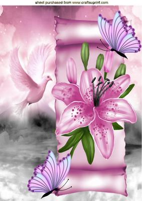 Pink Lillies and Butterflies on a Scroll with Dove A4