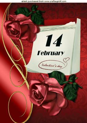 Our Special Day February 14th with Red Roses A4