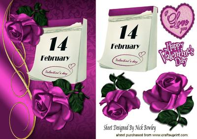 Our Special Day February 14th with Pink Rose