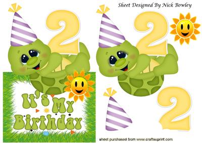 Two Today Little Birthday Turtle Over the Edge