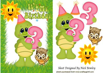 Little Turtle 3 Today with Little Owl