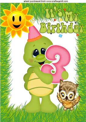 Little Turtle 3 Today with Little Owl, A4