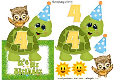 Little Turtle 4, Today with Little Owl Over the Edge