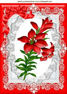 Pretty Red Lily on Lace Wih Bow in Ornate Frame A4