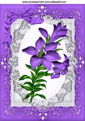 Pretty Purple Lily on Lace Wih Bow in Ornate Frame A4