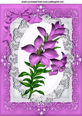 Pretty Pink Lily on Lace Wih Bow in Ornate Frame A4