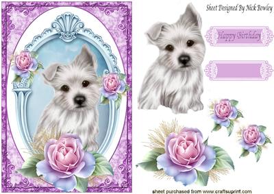 Gorgeous Little Westie with Pink Roses in Frame
