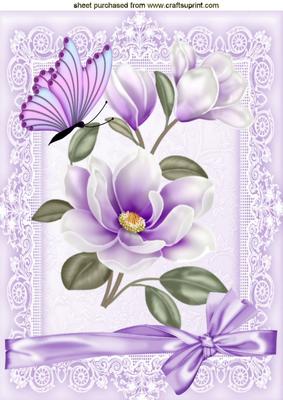 Pretty Lilac Magnolias, in Lace Frame with Butterfly A4