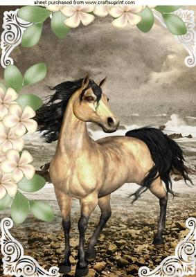 Beautiful Horse by the Edge of the Sea Shore with Flowers A4