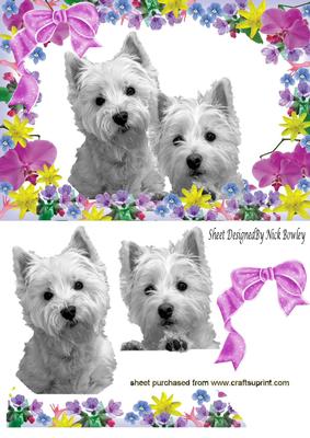 Cute Pair of Westies in Flower Frame with Bow