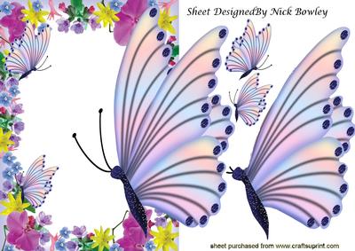 Pretty Rainbow Butterflies Over the Edge in Floral Frame