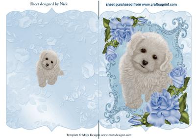 Cute White Puppy with Blue Flowers in Frame