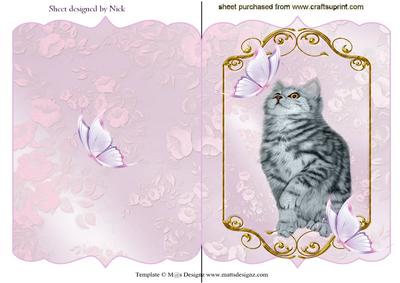 Cute Little Kitten with Butterflies in Lace Frame