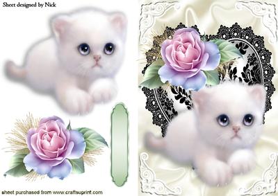 Cute White Kitty and Black Lace Heart with Pink Rose