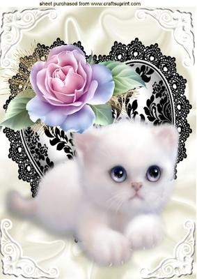 Cute White Kitty and Black Lace Heart with Pink Rose A4