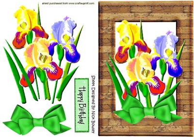 Pretty Irises with Bow in a Wooden Frame