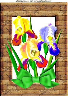 Pretty Irises with Bow in a Wooden Frame A4