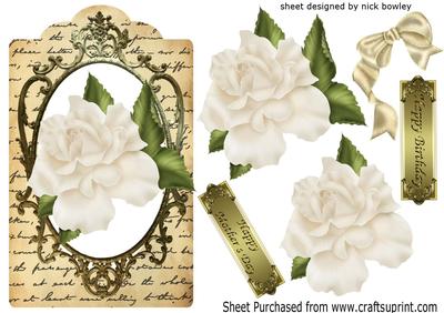 Big Cream Rose with Bow on a Tag with Script