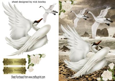 Free as a Bird Beautiful White Swans in Flight & Ocean