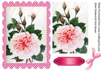 Pink Roses in Pink Polkadot Frame with Bow