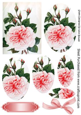 Pink Roses, Oval Pyramids with Bow
