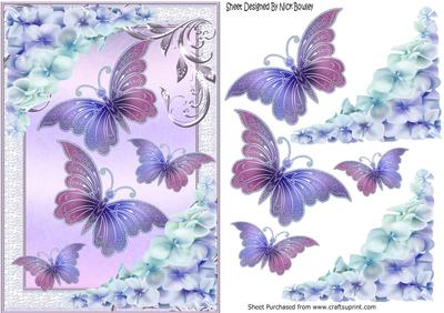 Pretty Chrysanthemums in Lilac/pink with Butterflies