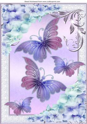 Pretty Chrysanthemums in Lilac/pink with Butterflies A4