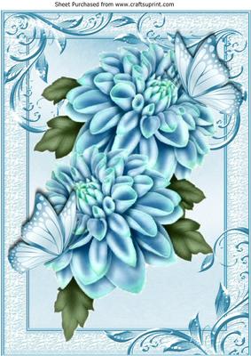 Shades of Blue Chrysanthemums and Butterflies A4