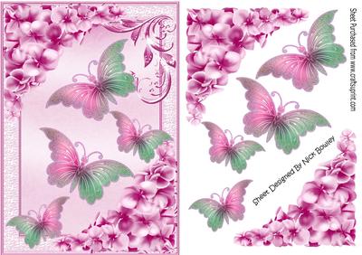 Pretty Chrysanthemums in Pink with Butterflies