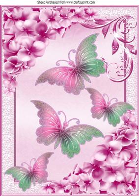 Pretty Chrysanthemums in Pink with Butterflies A4