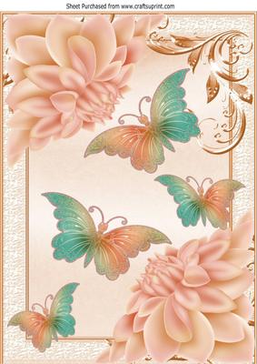 Pretty Chrysanthemums in Peach with Butterflies A4
