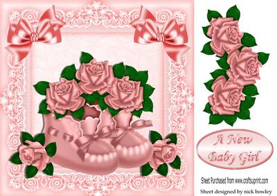 Pink Bootees, with Pink Roses in Lace Frame 8x8