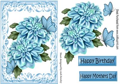Pretty Blue Chrysanthemums, & Butterflies