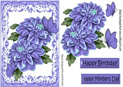 Pretty Purple Chrysanthemums, & Butterflies