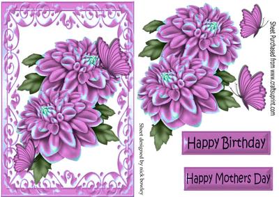 Pretty Pink Chrysanthemums, & Butterflies