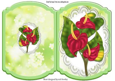 Pretty Anthuriam Exotic Flowers on Lace Quick Card
