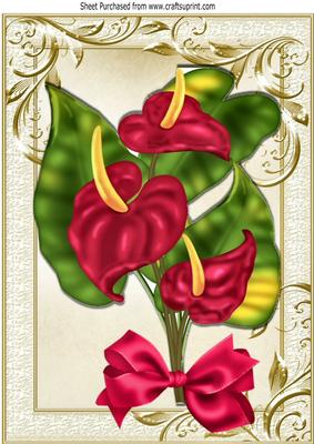 Pretty Exotic Anthuriam Flower with Bow in Ornate Frame A4