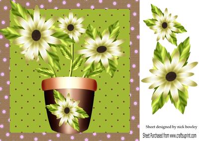 Pretty Cream Flowers in a Flower Pot 8x8